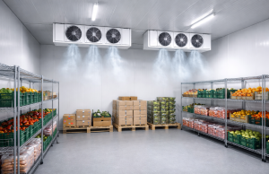 L’Épopée du Froid : Les Chambres Froides Industrielles, Piliers Silencieux de notre Ère Moderne